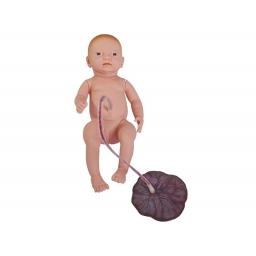 高级新生儿脐带胎盘护理模型