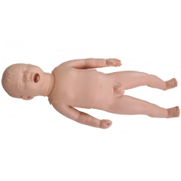 新生儿生长指标评定及护理训练模型