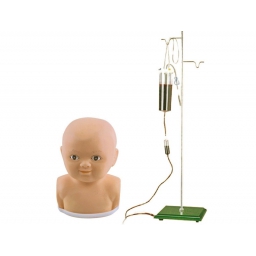 高级婴儿头部静脉注射训练模型